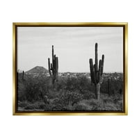 Ступел индустрии Пустинен Кактус суха растителност монохромна природа фотография снимка металик злато плаваща рамка платно печат стена изкуство, дизайн от графи?
