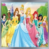 Дисни Принцеса-Замък Морава Група Плакат Стена, 14.725 22.375