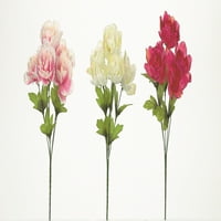 Пролетна колекция 14 Розово, бяло и Фуксия божур Буш асортимент, парче