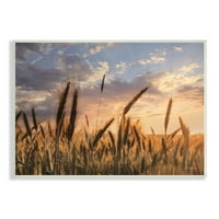 Ступел индустрии провинцията пшеница поле Земеделска земя облачно небе залез, 13, дизайн от Лори Дайтър