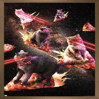 Джеймс Букър - Галакси лазерни котки на пица стена плакат, 14.725 22.375 в рамка
